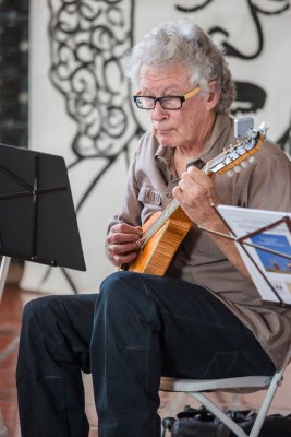 Mandolin Player