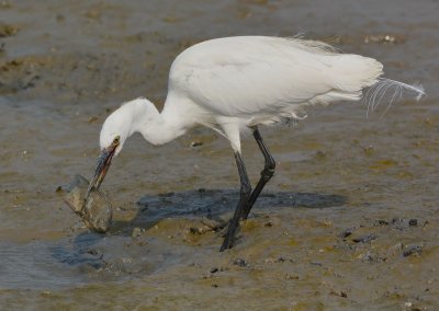 DSC_8636aaa.jpg