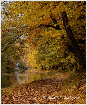 Autumn Stroll Along the Canal