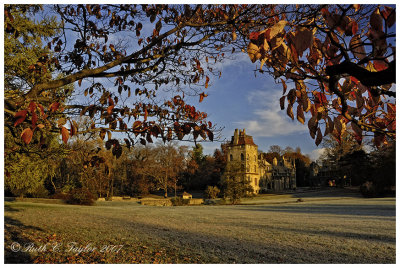 Autumn Reds at Fonthill Castle