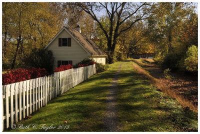 Autumn Along the Towpath