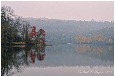 20131031_015_BucksAutumn.jpg
