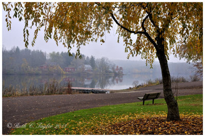 20131031_029_BucksAutumn.jpg