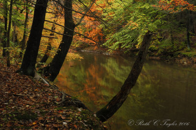 Autumn in Bucks County 2006