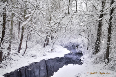 Fleecy Dale, Carversville