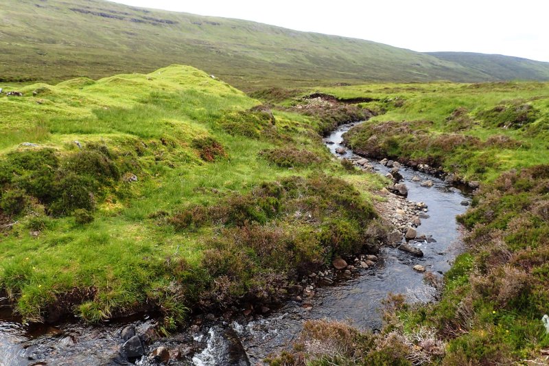 Meandering stream