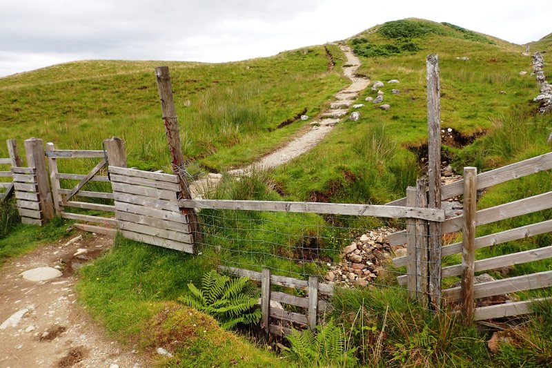 Fence with a gate