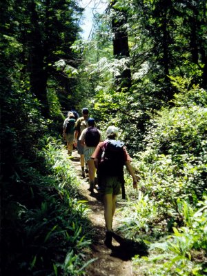 Cape Beale Trail