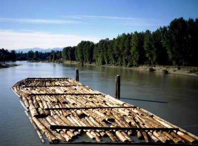 Floating logs