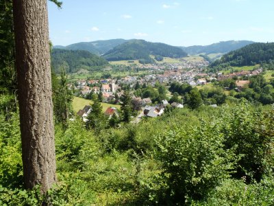 View of Hausach-Dorf