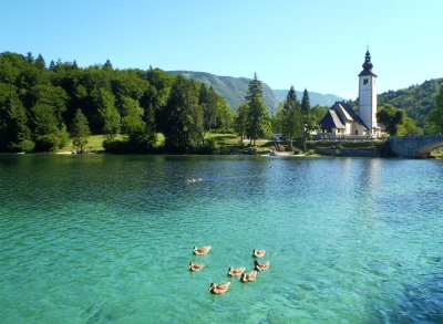 Slovenia (Aug 2013)