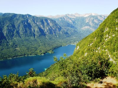 Lake Bohinj