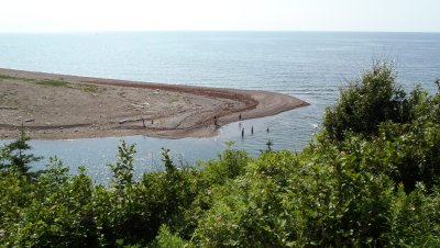 People paddling