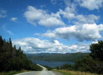 Bonne Bay Road