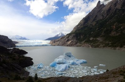Grey Glacier
