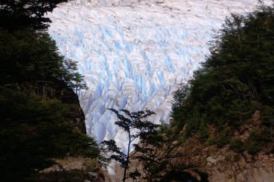 Glacier vista