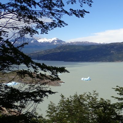 Lago Grey