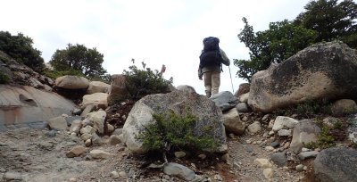 Stony path