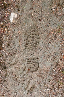 Footprint in the mud