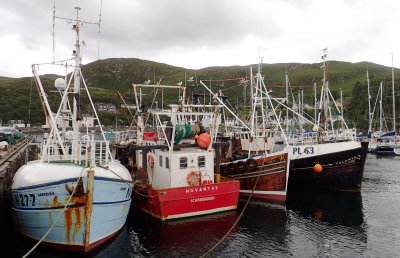 Harbour of Mallaig