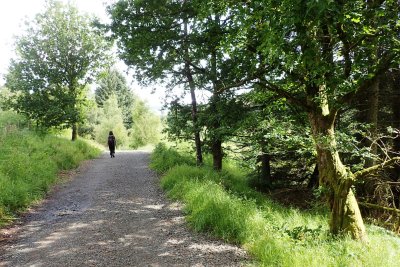 Wide gravel path