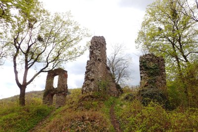 Ruins of Stecklenburg