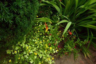 L1000494.jpg