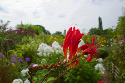 L1010015.jpg
