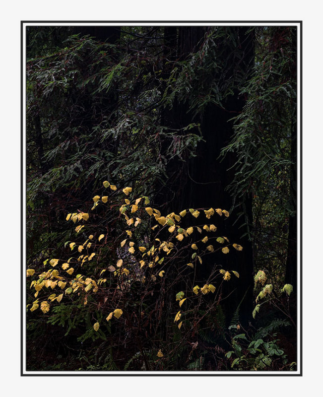 _DSF5782-Ed.jpg