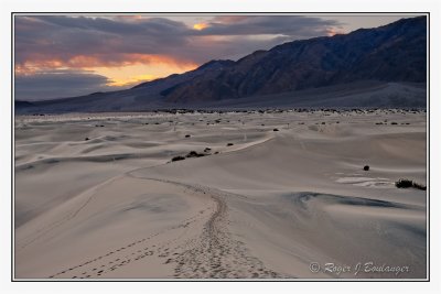 Mesquite Sand Dunes -1