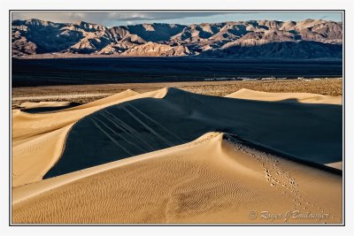 Mesquite Sand Dunes -5