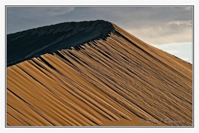 Mesquite Sand Dunes -6