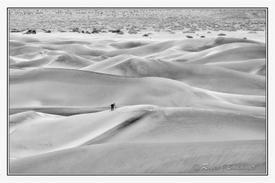 Mesquite Sand Dunes -8