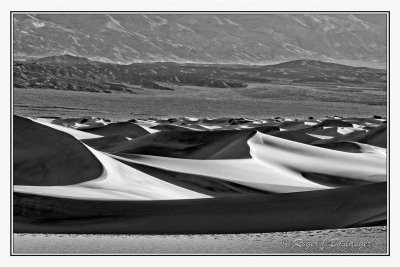 Mesquite Sand Dunes -10