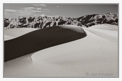 Mesquite Sand Dunes -11
