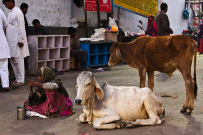 20131129-india 217-2.jpg