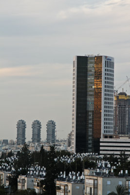 20150113-white 083.jpg