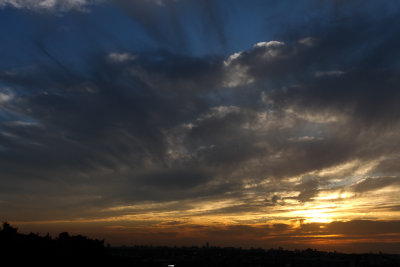 20150113-white 138.jpg