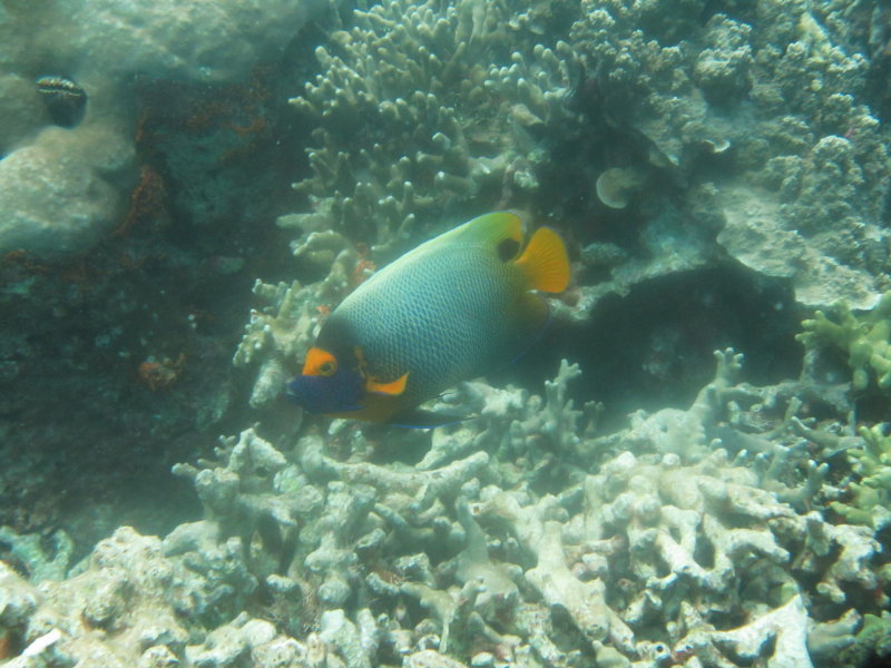 2014-02-13 15:24