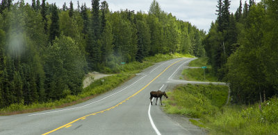 Trip to Homer