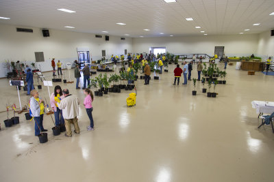 2014 Citrus-Fruit Sale