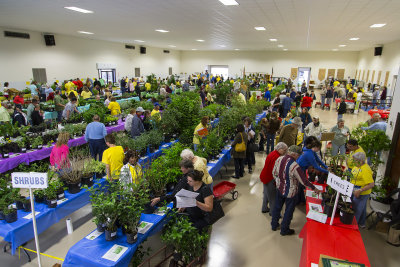 2014 Plant Sale