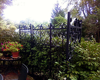 Iron Security Grates recycled as garden trellis