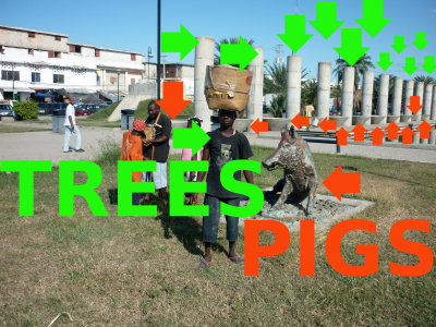 pigs_and_trees_temple_of_solomon.jpg