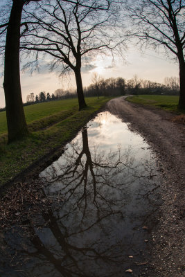 Reflection