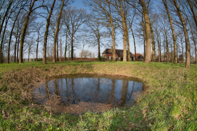 Pond