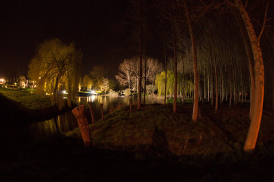 Trees