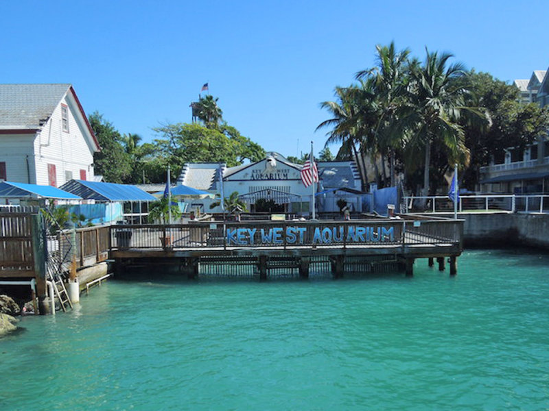 Key West Aquarium