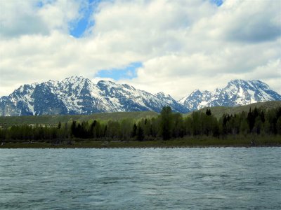 View of the Tetons from the Snake River