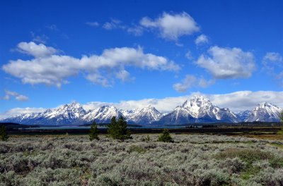 Grand Teton Panorama
